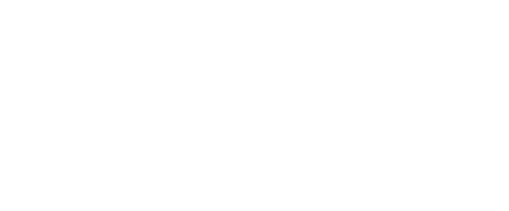 SEO Agentur Speyer Logo